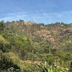 Ethiopian African coffee regions