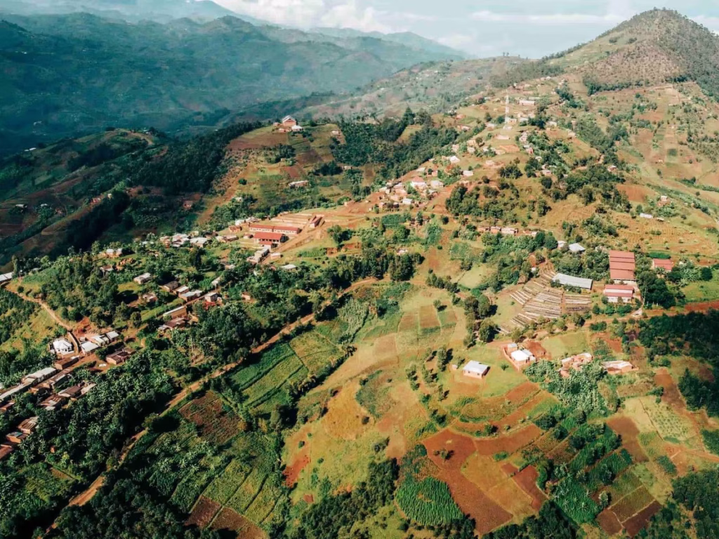 Coffee Climate change means the harvest is early in Burundi